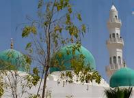 بيوت الله في الإمارات (14): مسجد الشيخ منصور بن زايد ـ الشامخة 
