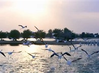 نشرة تويتر(1357): أكبر مشروع سياحي بيئي في دبي.. وقطر "بحاجة للفت الأنظار" 