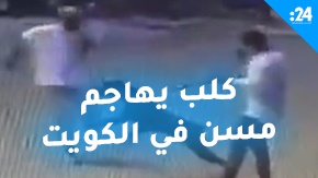 إصابة مسن في الكويت بعد أن هاجمه كلب